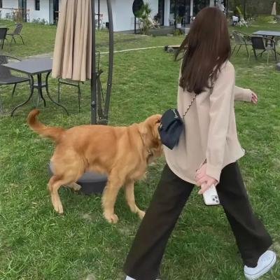 马戏女郎